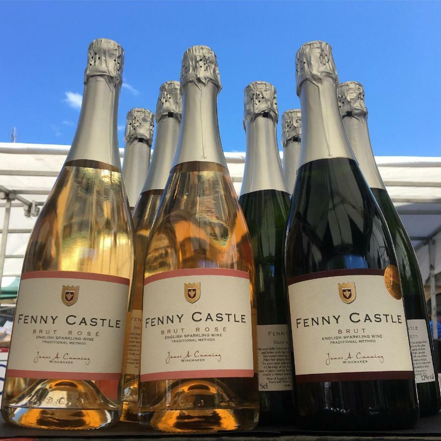 Fenny Castle Vineyard Cottage Wookey Dış mekan fotoğraf
