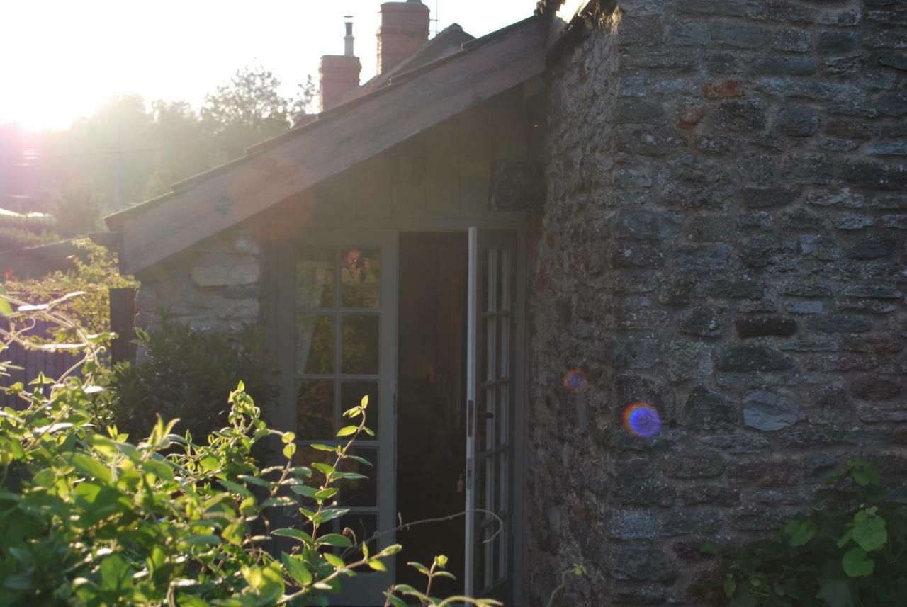 Fenny Castle Vineyard Cottage Wookey Dış mekan fotoğraf