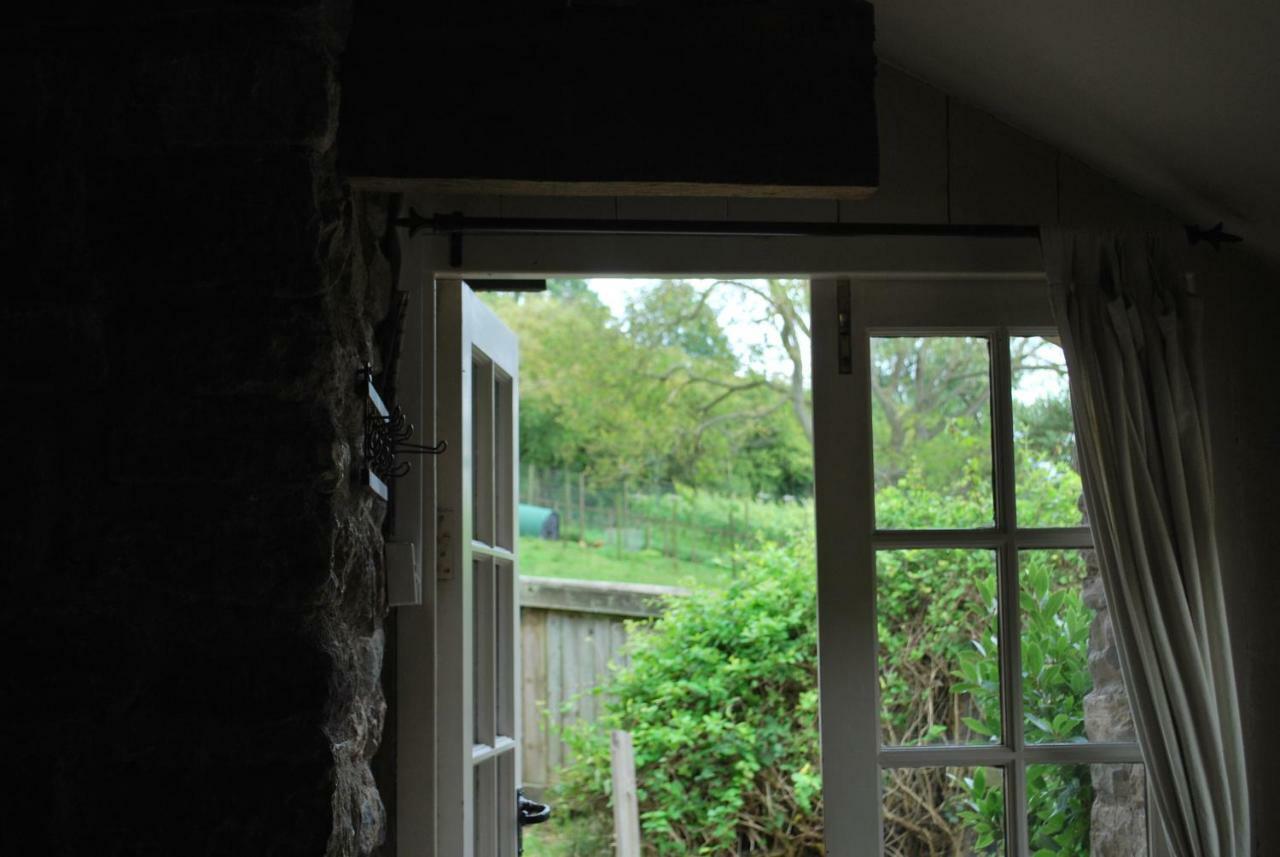 Fenny Castle Vineyard Cottage Wookey Dış mekan fotoğraf