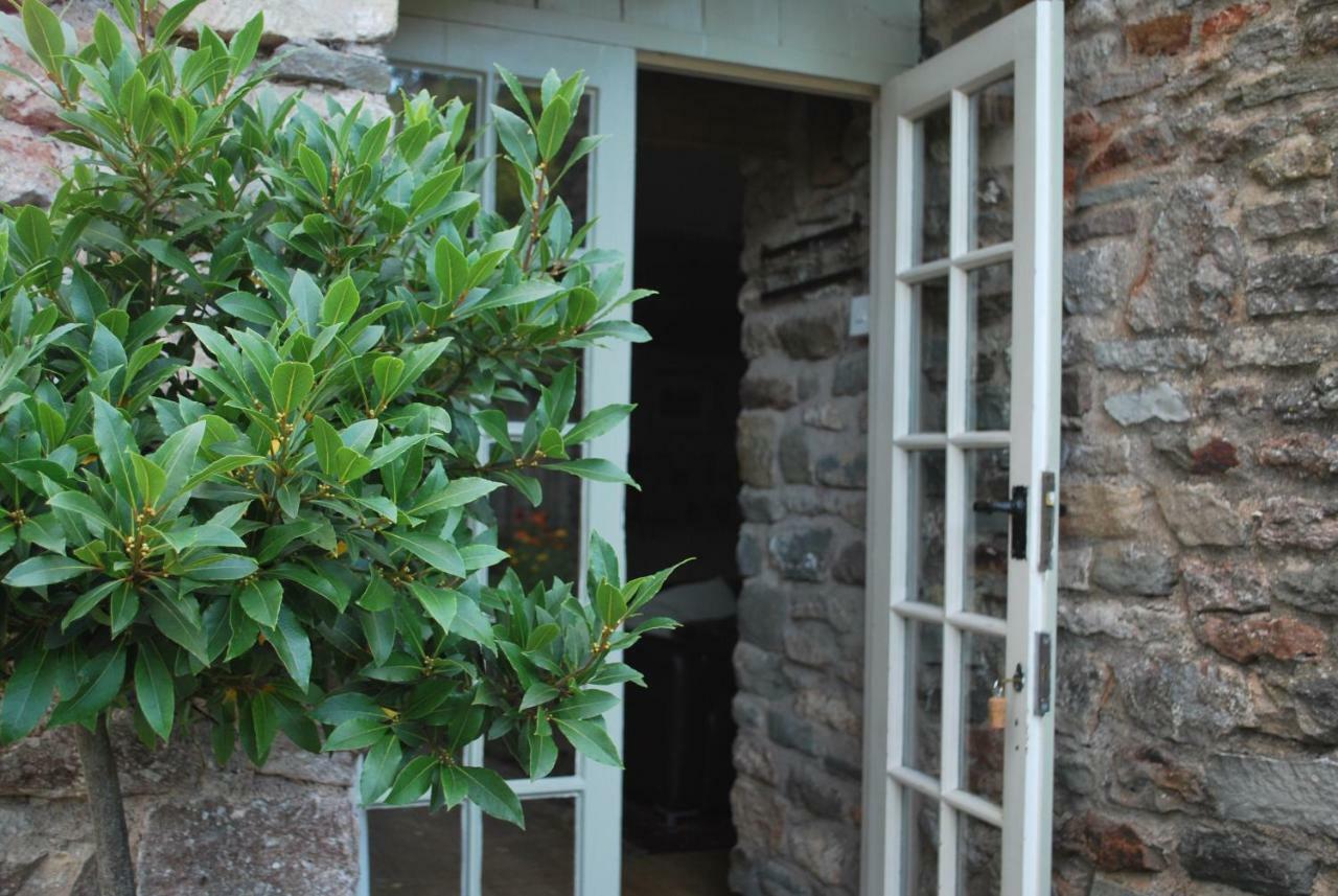 Fenny Castle Vineyard Cottage Wookey Dış mekan fotoğraf