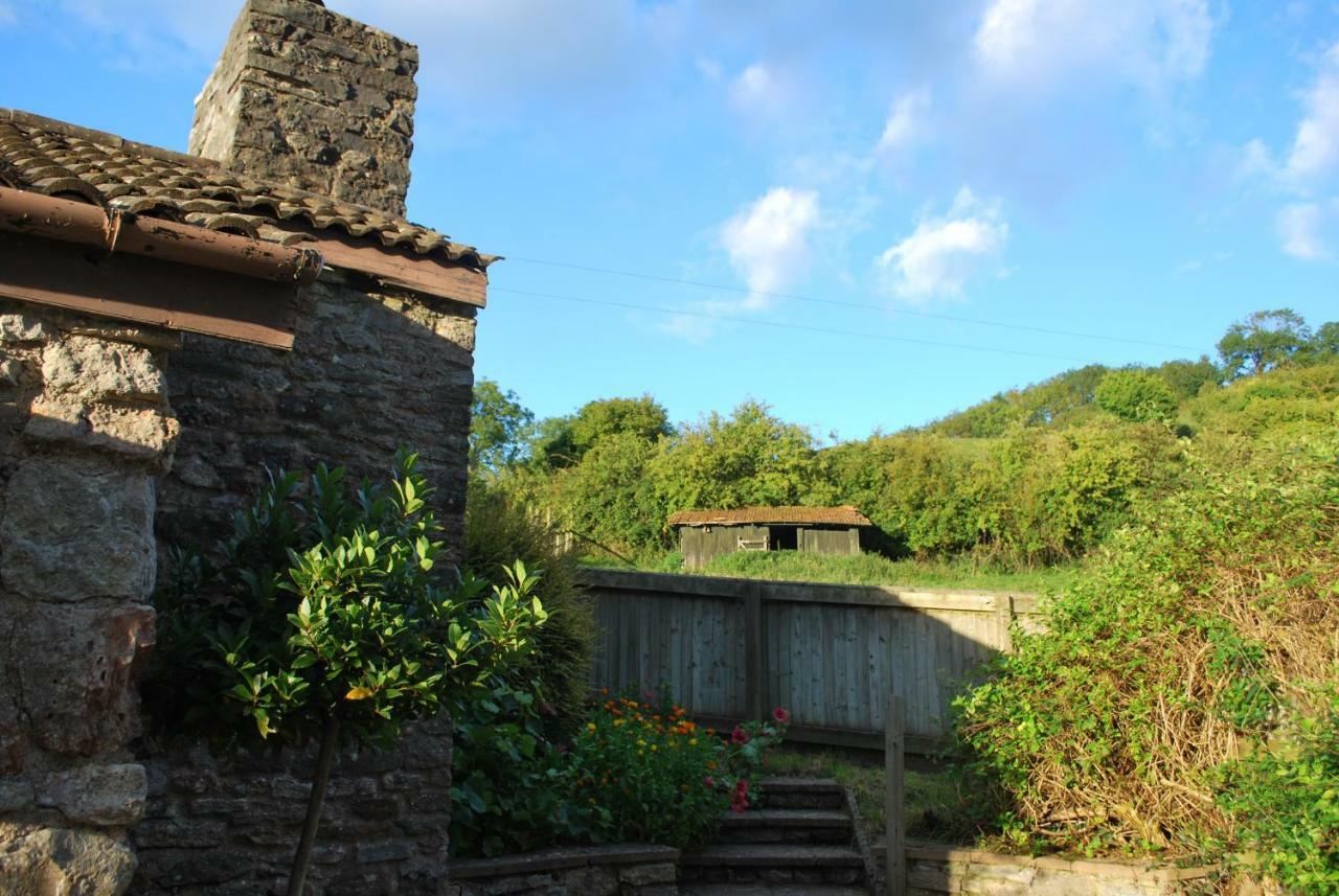 Fenny Castle Vineyard Cottage Wookey Dış mekan fotoğraf