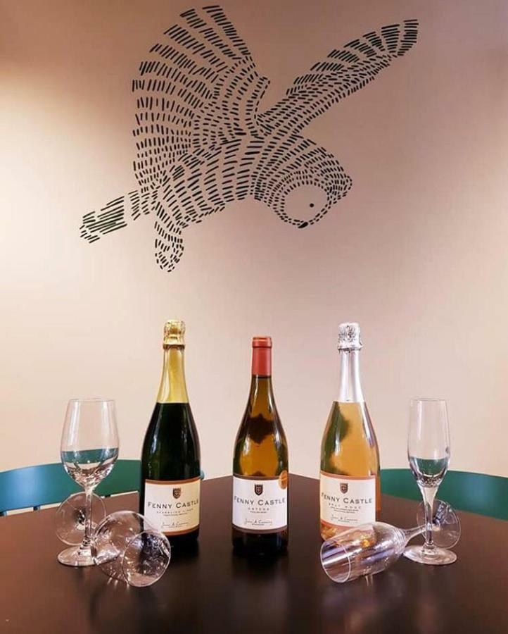 Fenny Castle Vineyard Cottage Wookey Dış mekan fotoğraf