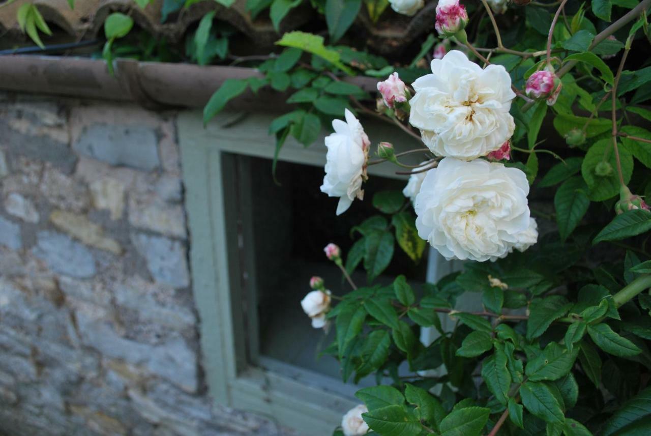 Fenny Castle Vineyard Cottage Wookey Dış mekan fotoğraf