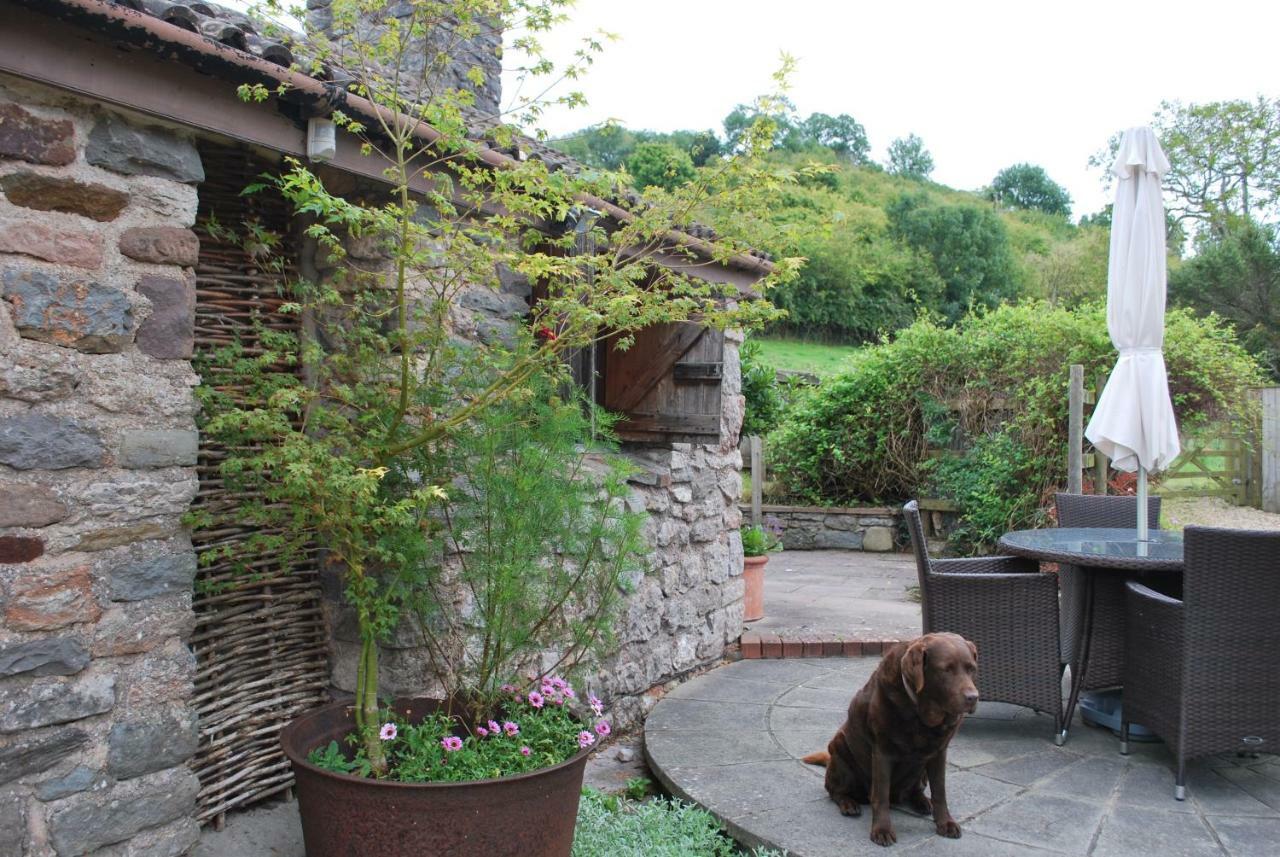 Fenny Castle Vineyard Cottage Wookey Dış mekan fotoğraf